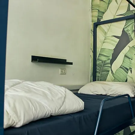 Jungle Jaffa Hostel Age 18 To 45-2