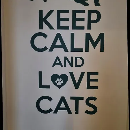 Green Cat Rooms-2