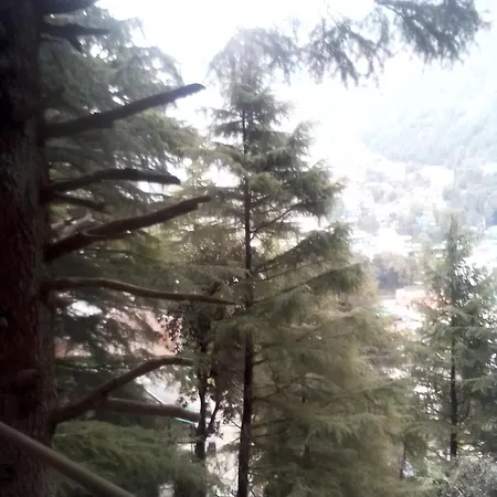 Himalayan Mountain View, Triund Trekking Hostel-3