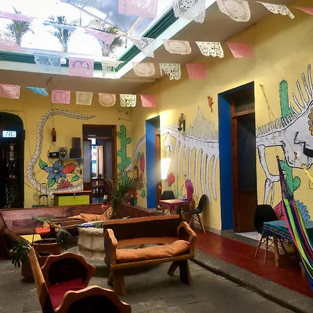 Iguana Hostel Oaxaca-3