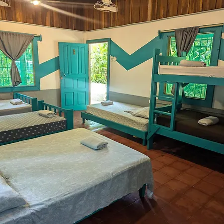 Tasty Dayz Hostel-2