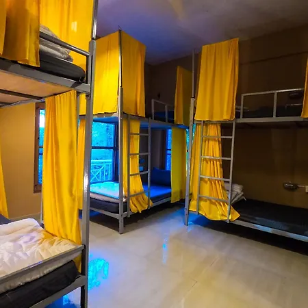Whoopers Hostel Bir- Friends Themed-3