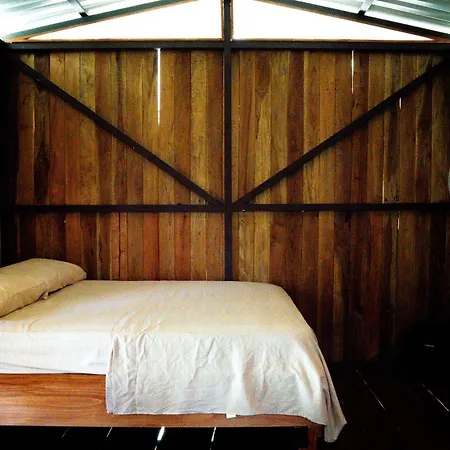 Flutterby House Hostel-2