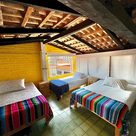 Casa Frida Gaylodging-3