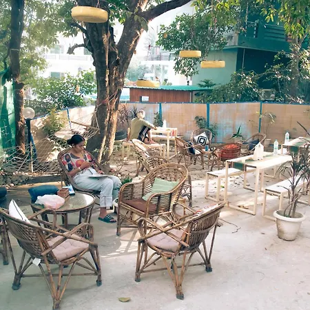 Freebird Nest Hostel-3