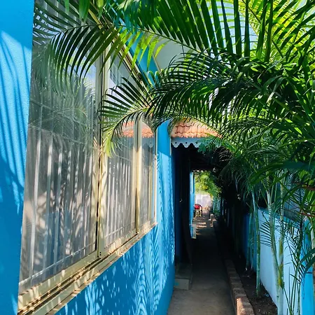 Yuvraj Classic Home Hostel & Cafe-2