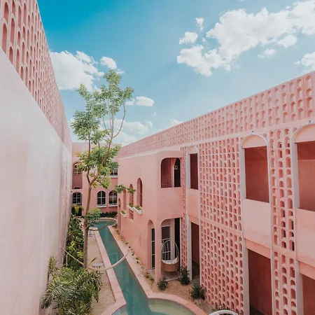 Casa Amate 61 - Merida Centro-2