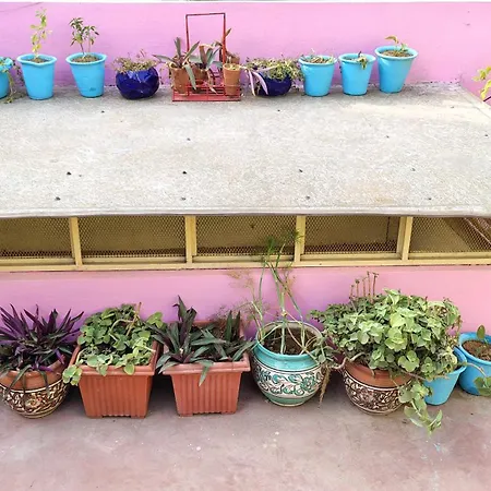 Ali Baba Hostel & Homestay-2