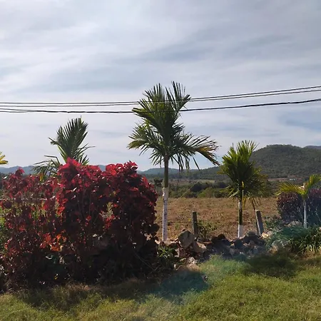 Gagana Giri Homestay By Lexstays At Chikkamagalaru-3