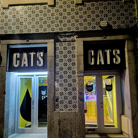 Cats Porto Hostel-3