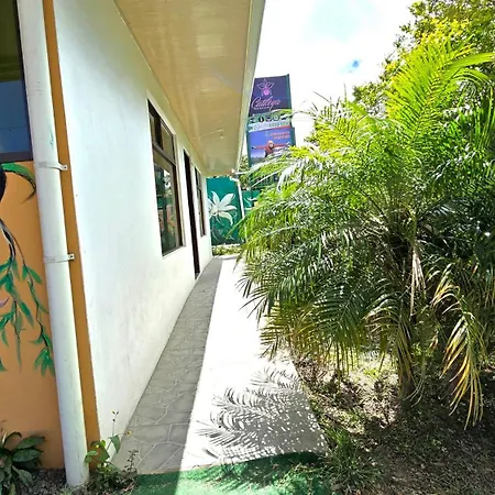 Hostel Cattleya - Monteverde, Costa Rica-3