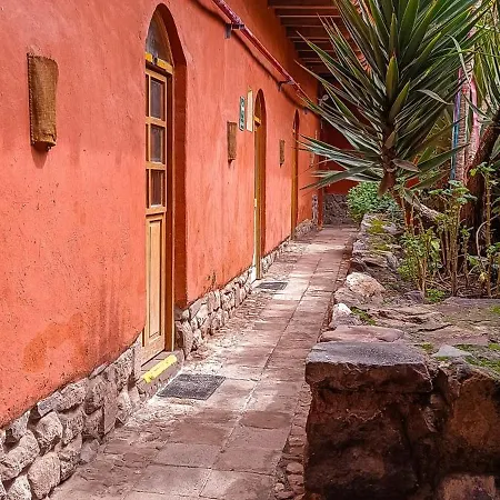 Loki Cusco-3