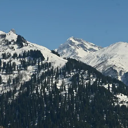 Nomadic Den Manali-2