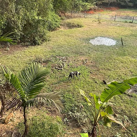 Hostelexp, Gokarna - A Slow-Paced Backpackers Community-3