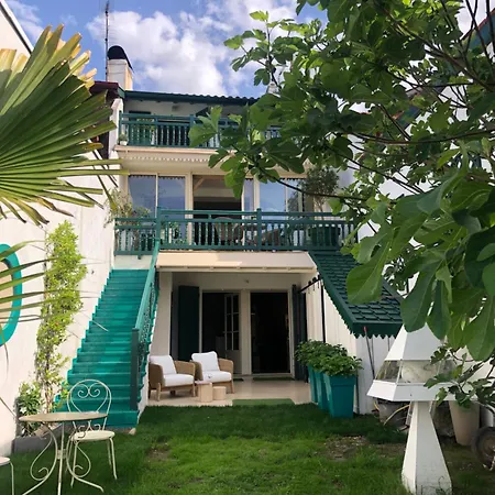 Maison Maje-2