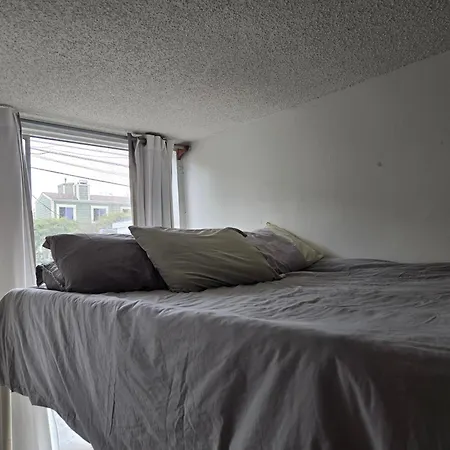Ocean Front Vortex Female Hostel Private Rooms Free Bikes-2