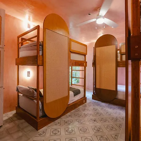 Casa Amate 61 - Merida Centro-3