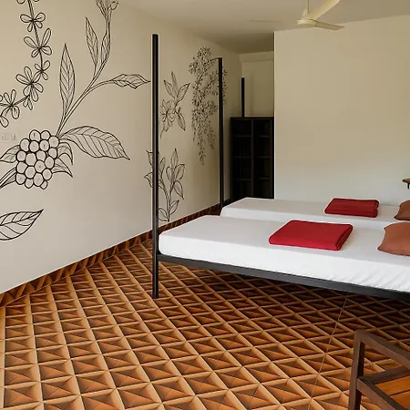 Moksha Wellness-2