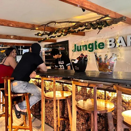 Jungle By Sturmfrei Vagator - Pool Wing-2