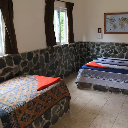 The Driftwood Surfer Beachfront Hostel / Restaurant / Bar, El Paredon-2