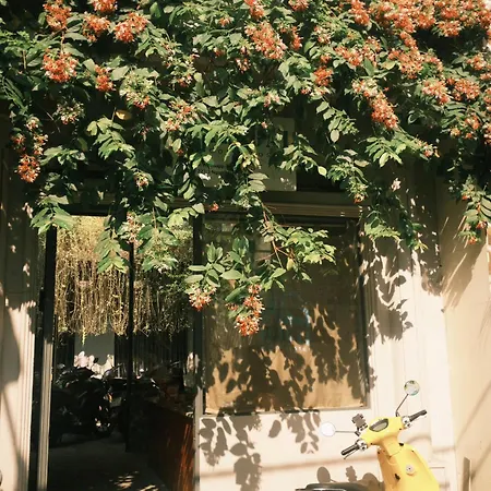 Ikigai Dorm Hostel - Danang Beach-3