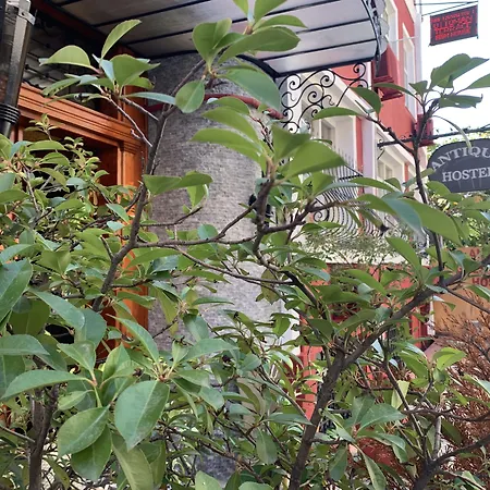 Antique Hostel-2