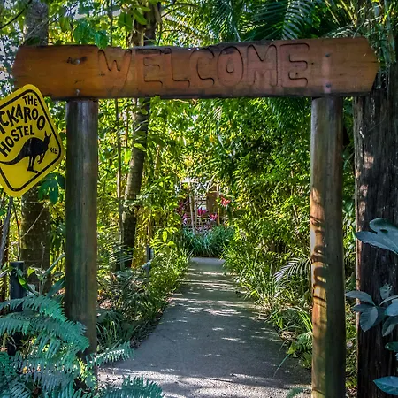 Jackaroo Treehouse Rainforest Retreat-3