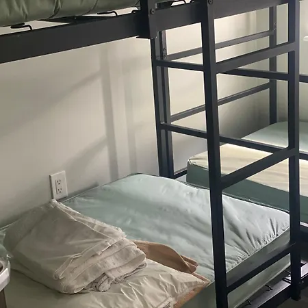 Dc International Hostel 1-3