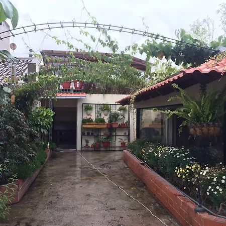 Quito Terrace-2