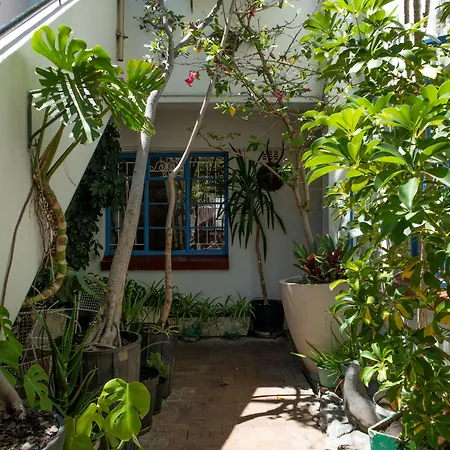 Long Street Backpackers (Adults Only)-3