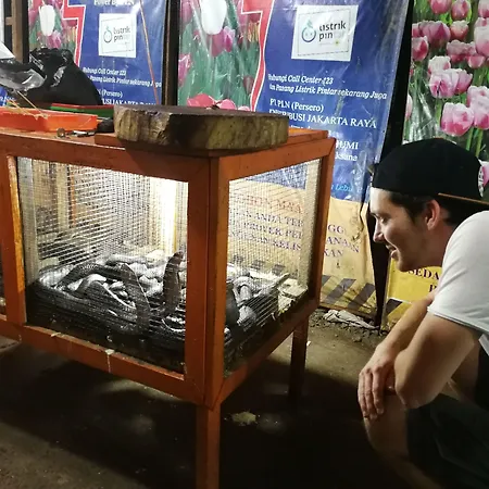 Sleepy Raccoon Hostel-3