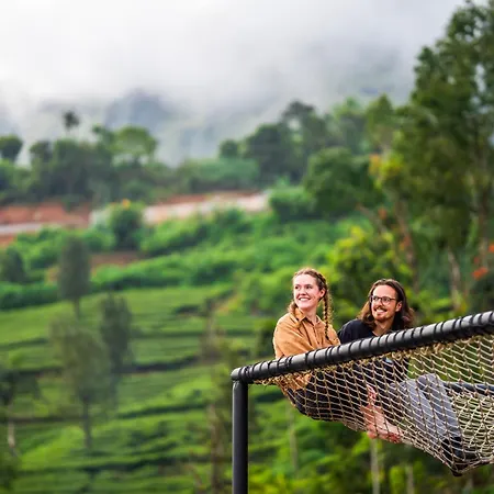 Monkey Tribe Munnar-3