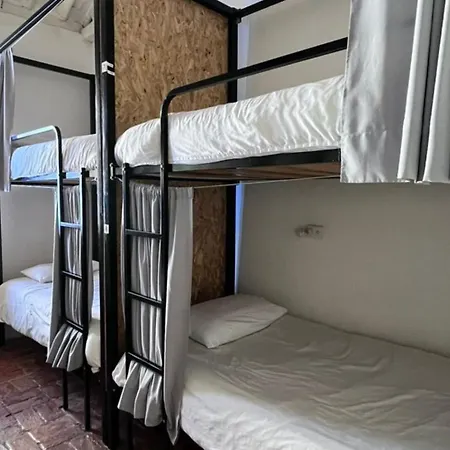 Botanico Hostel-3