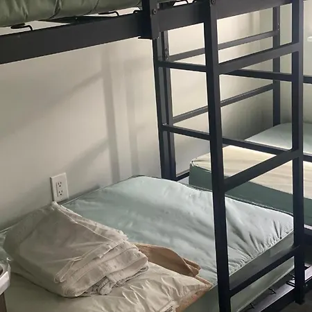Mayflower Hospitality Hostel-2