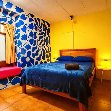 Chillout Hostel Barrio Escalante-2