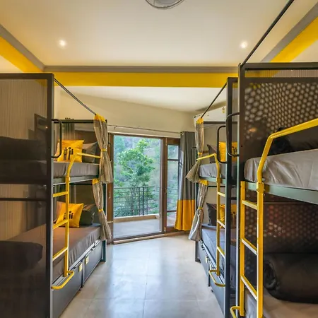 The Hosteller Kasauli-2