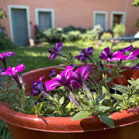 The Buda Side Garden - Dorms & Private Rooms-2