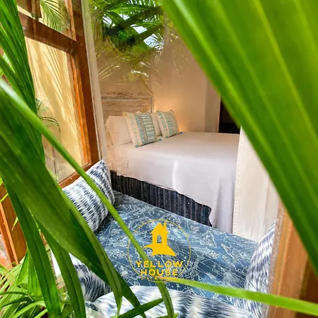 Yellow House Hostel B&B-3