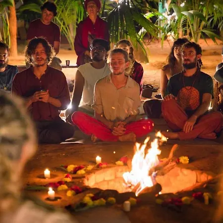 Freedom House, Auroville - A Backpackers Hostel-3