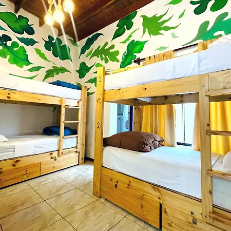 Rainbow Hostel-3