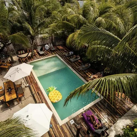 Che Holbox Hostel & Bar Adults Only-3