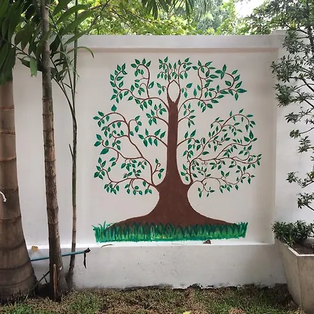 Coop Dopa Hostel-2