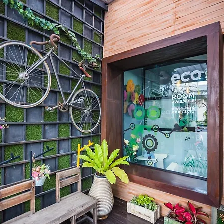 Eco Hostel-2