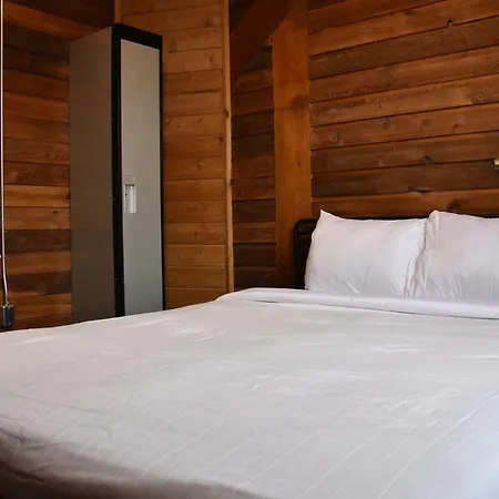 Party Hostel - The Canmore Hotel Hostel-3