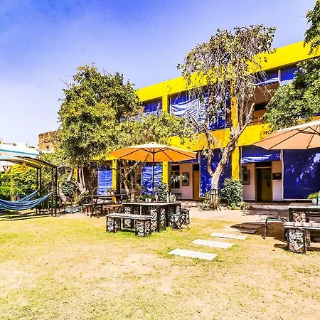 The Hostel Air Pushkar-2
