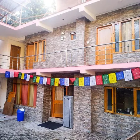 Backpackers Headquarter Manali-3