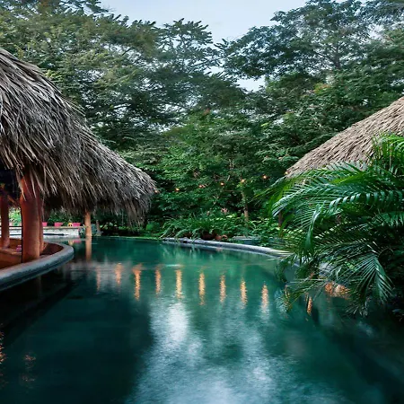 The Space Jungle Oasis-2