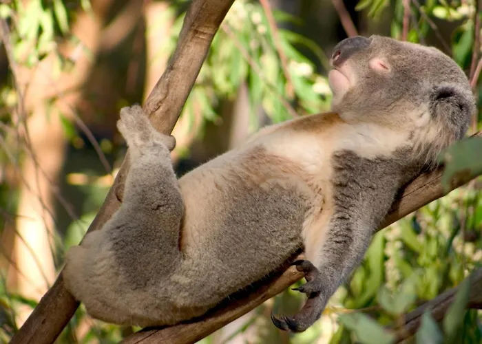 Perth City Backpackers Hostel - Note - Valid Passport Required To Check In