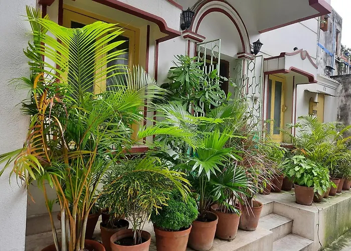 Bubble Beds Hostel Kolkata