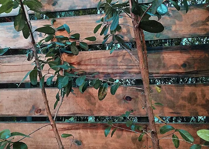 Cloud9 Hostel Medellin